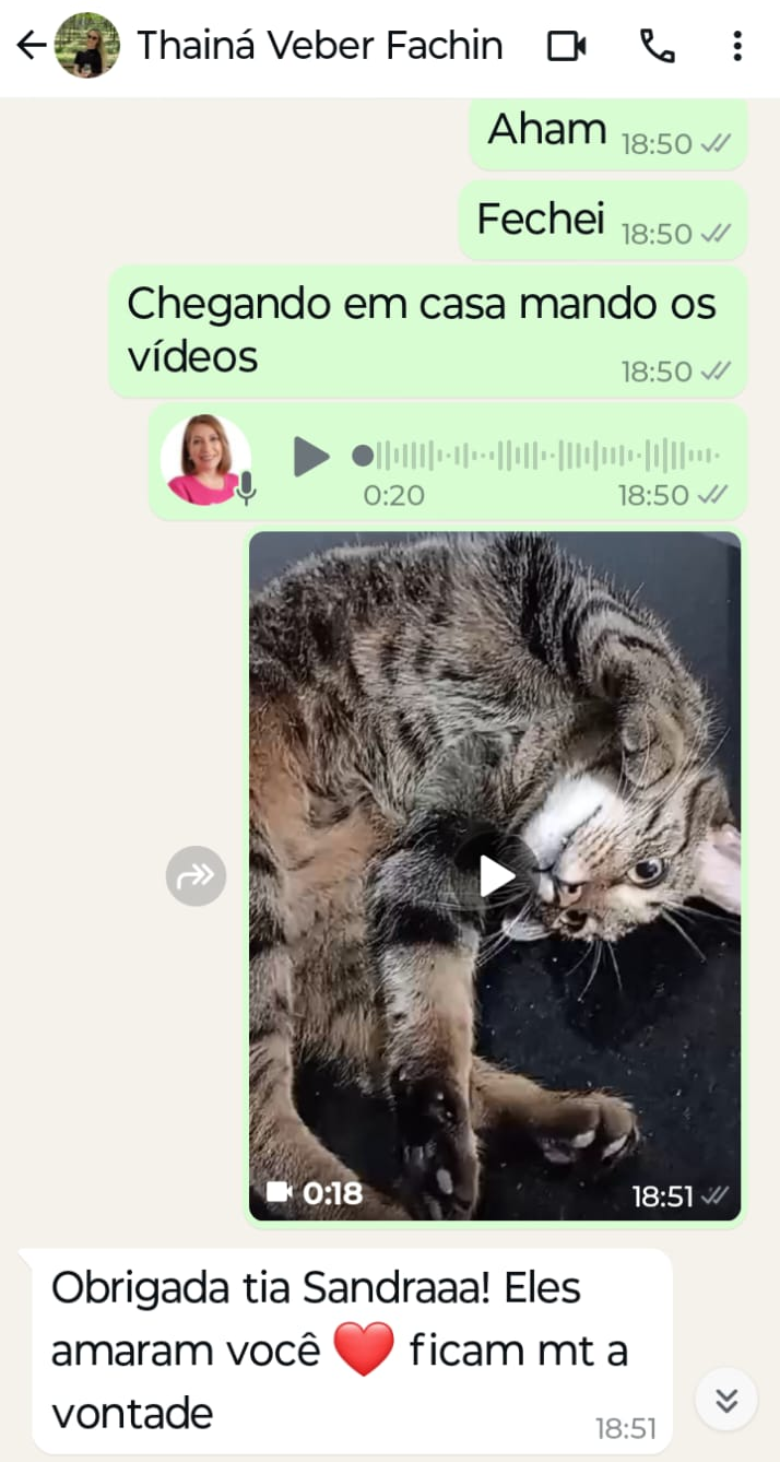 1e622450-74d2-4054-aa88-61d24d77de6e_1